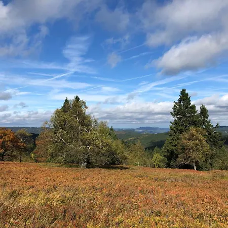 Kiefernweg ווינטרברג