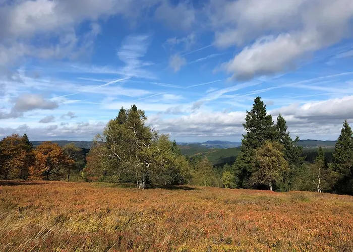 Kiefernweg وينتربرغ